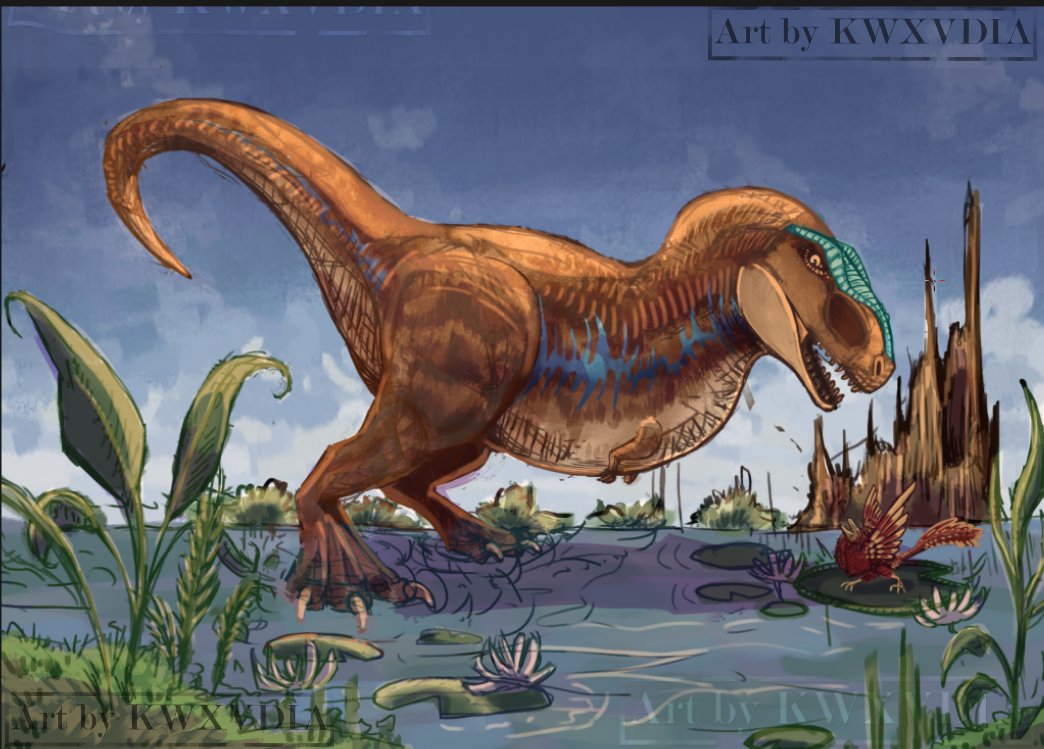 Klaudia | comms open! tweet media