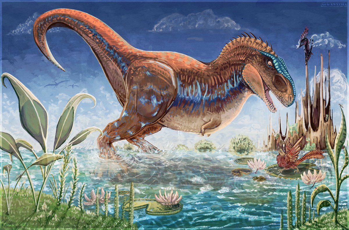 Klaudia | comms open! tweet media