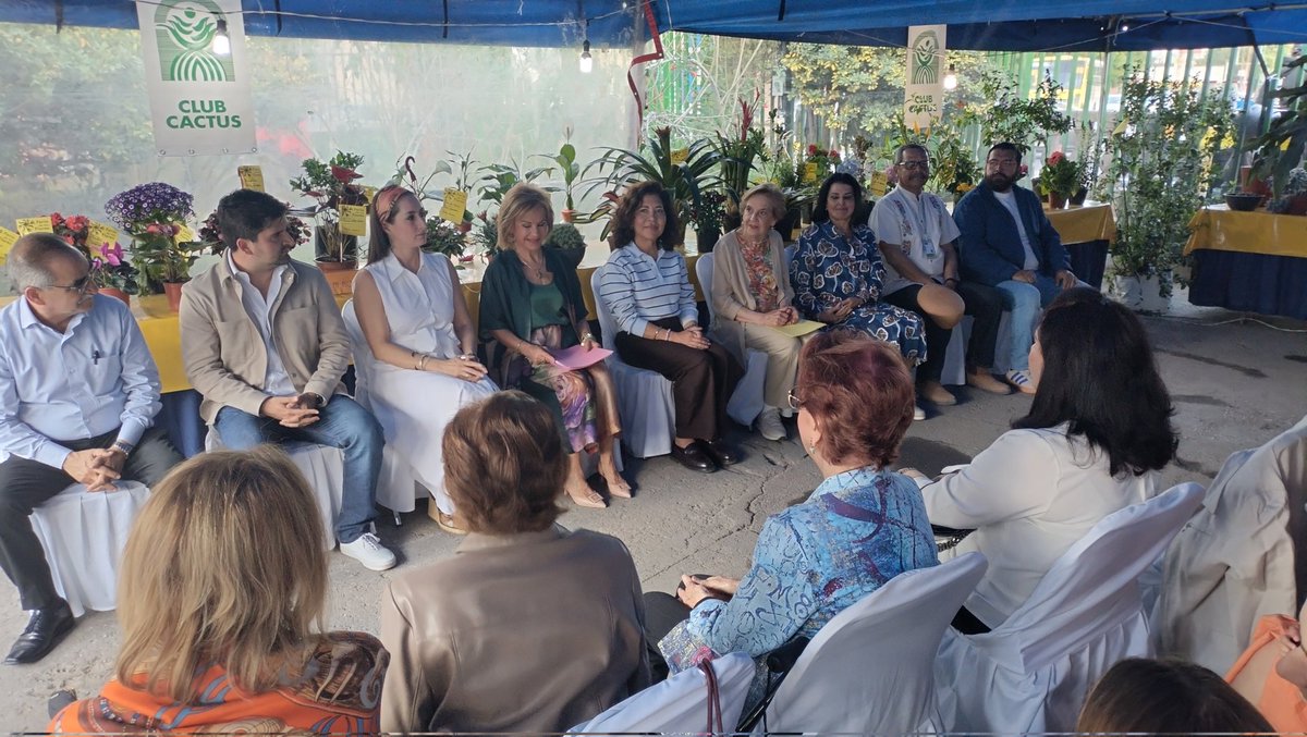 DIF Municipal SLP tweet media