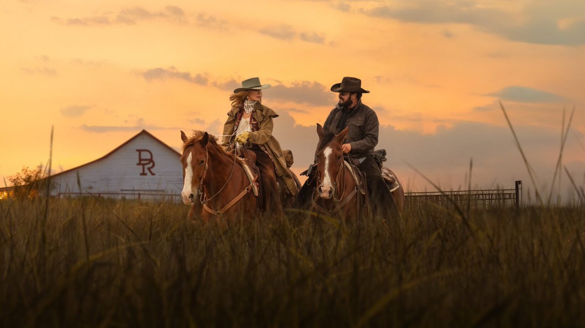 Kate 🦢 tweet media