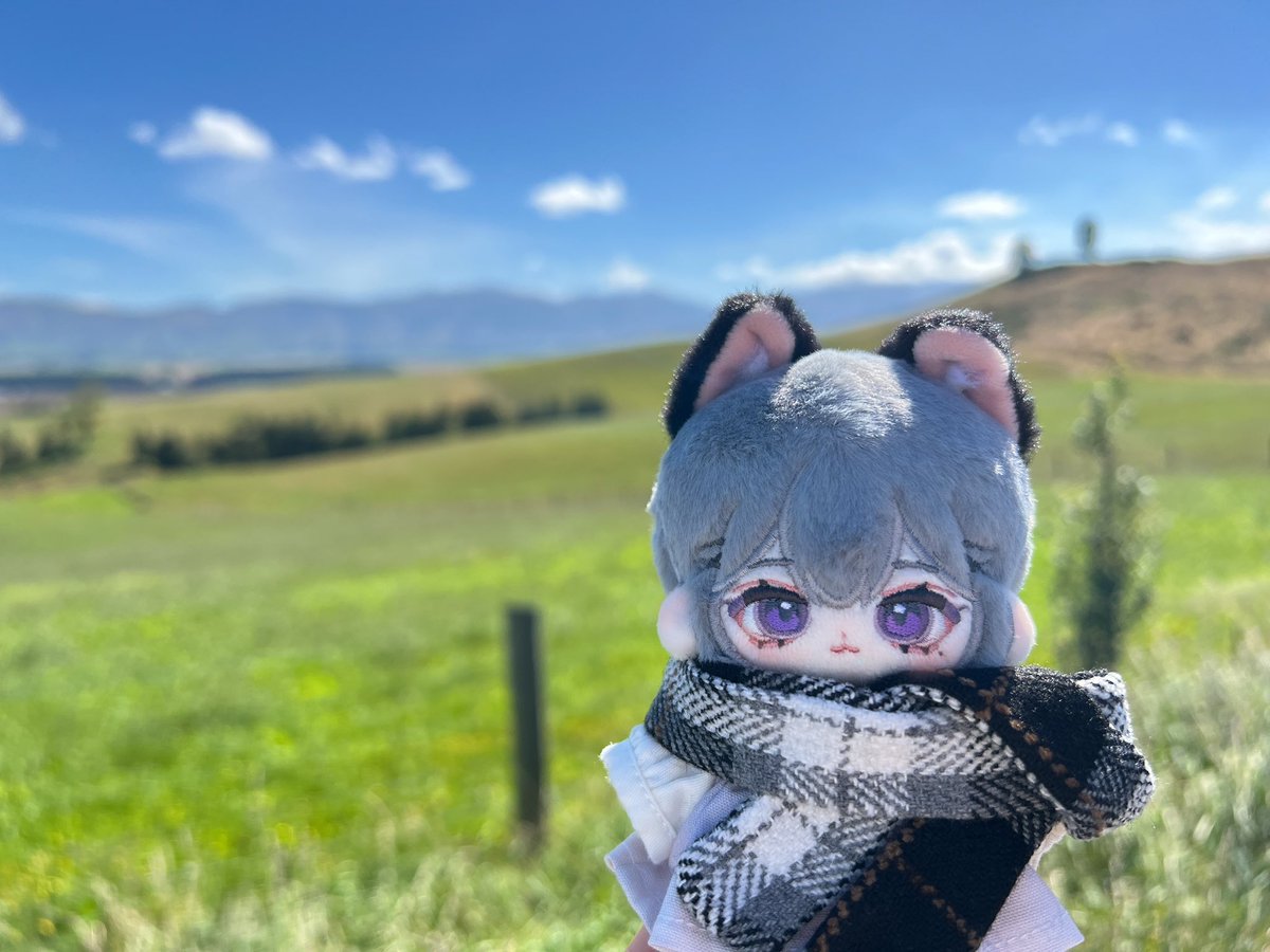 桔香梅綠 tweet media
