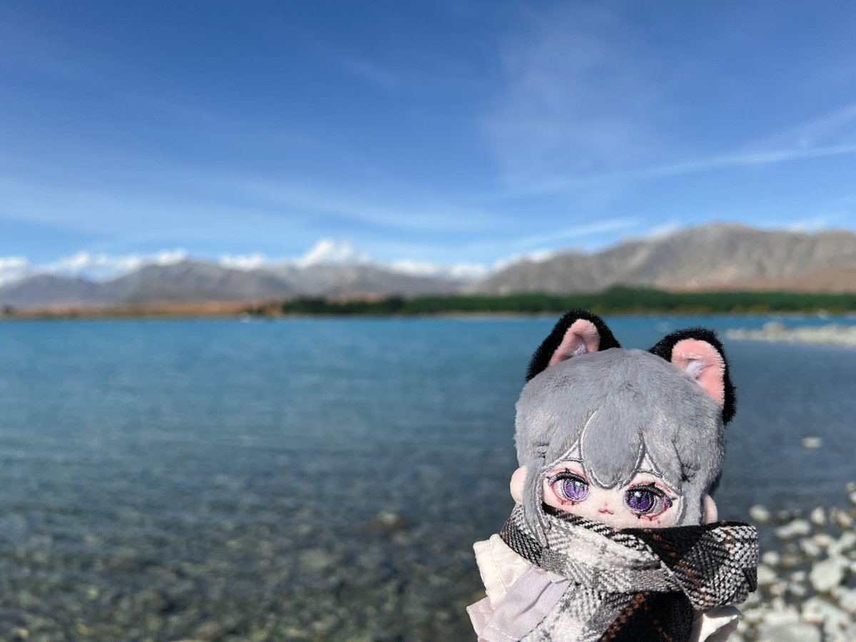 桔香梅綠 tweet media