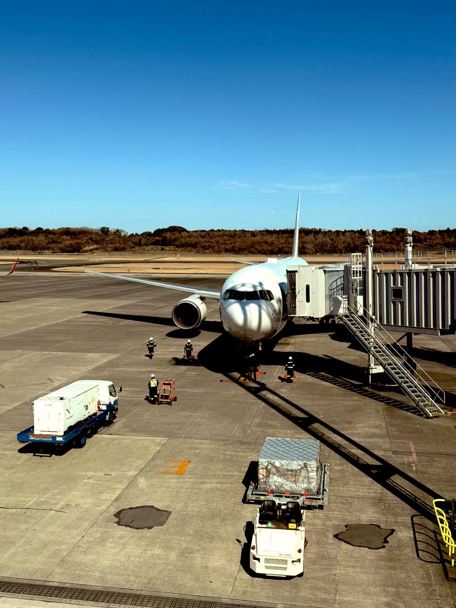 熊本からうさフェス行きます！
 #うさフェスタ