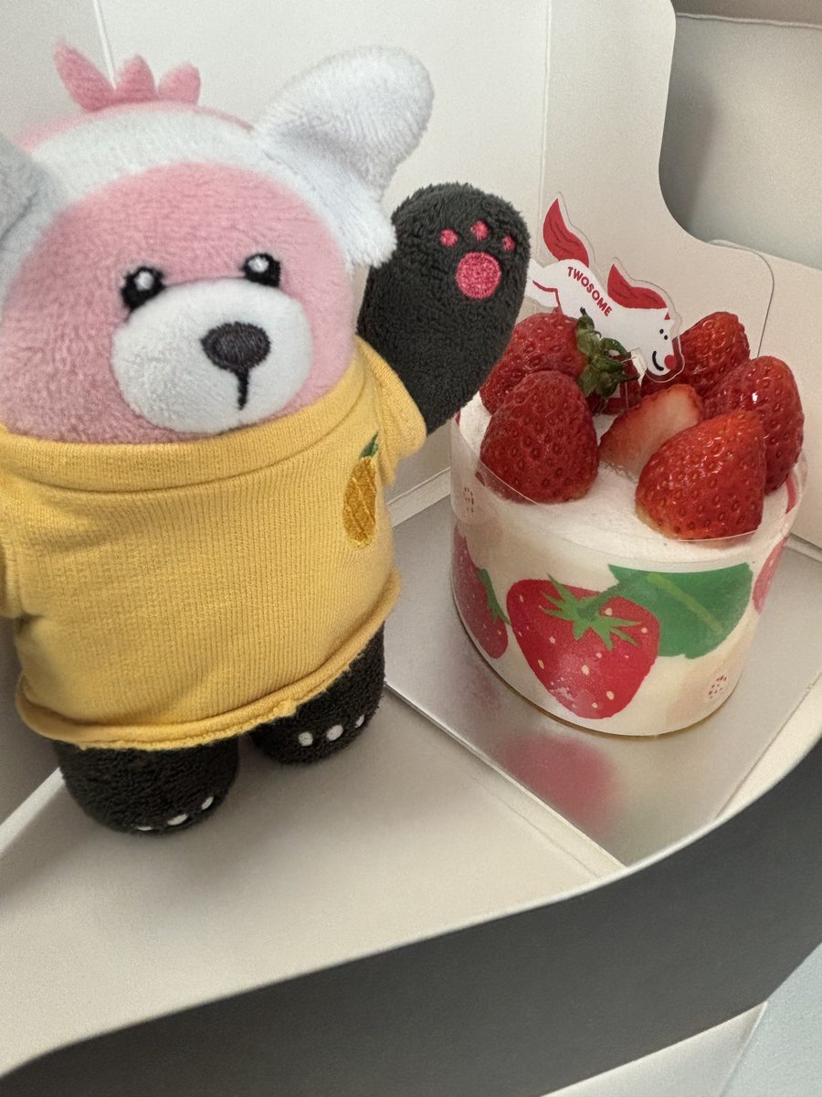 🧸 tweet media