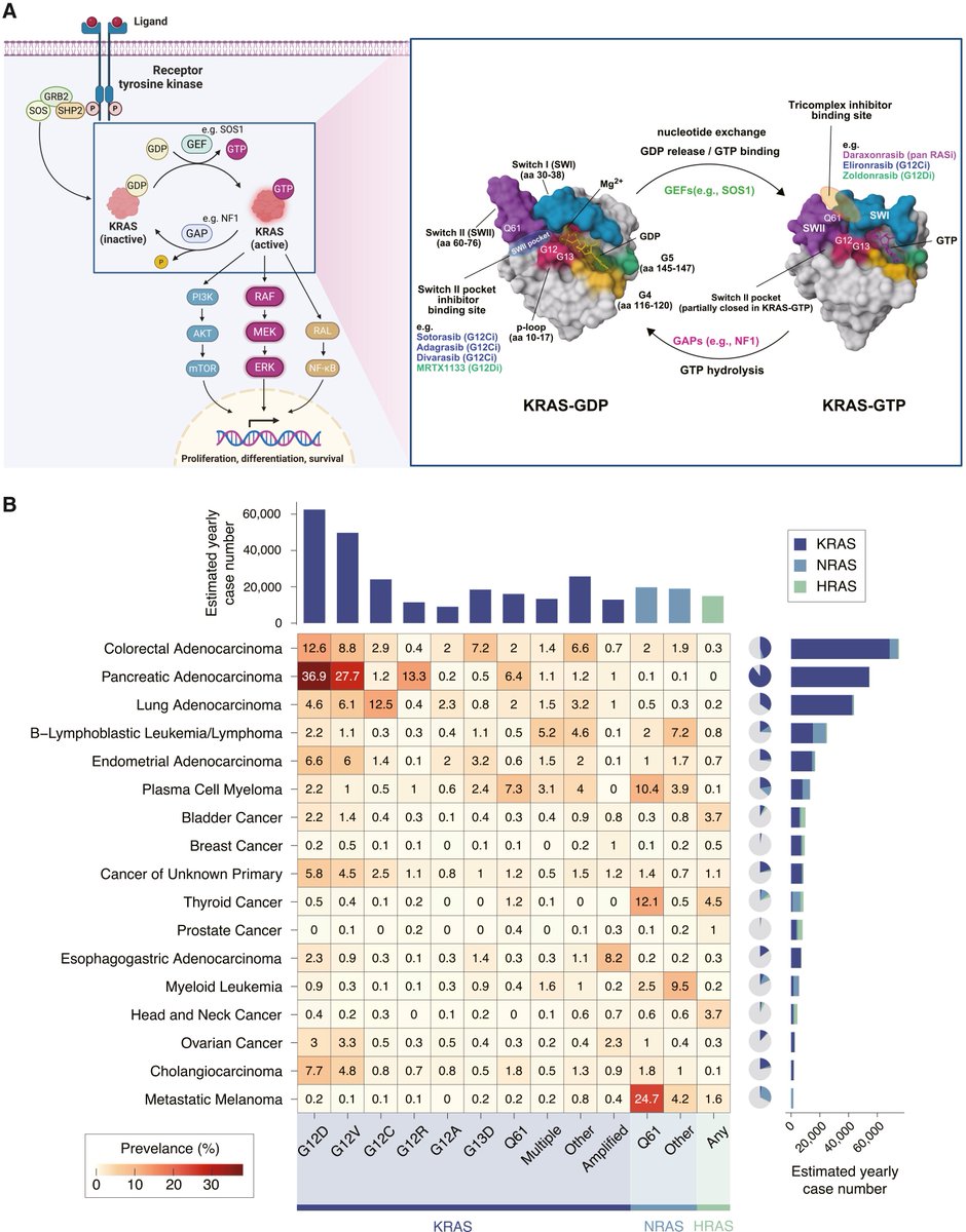 Daisuke Kotani, MD, Ph.D 小谷 大輔 tweet media