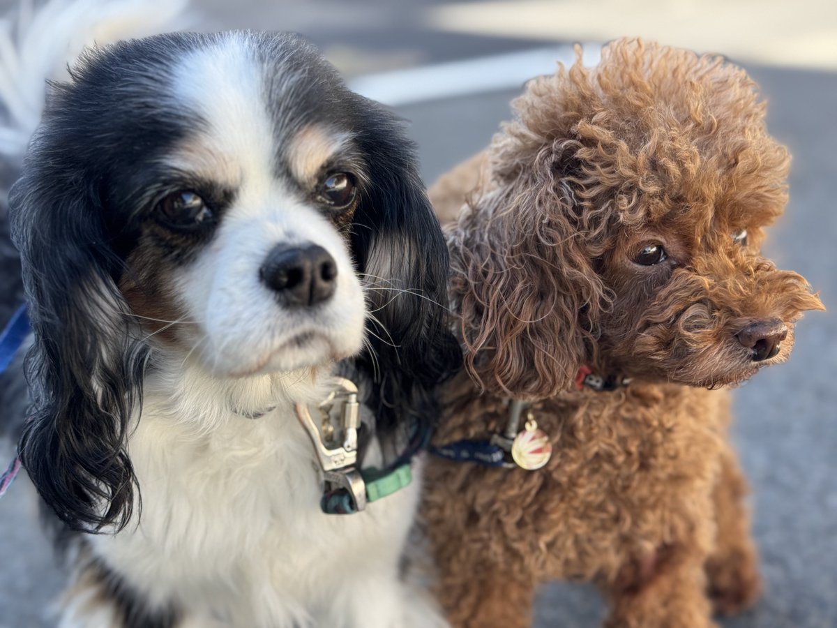 門田充宏 / Mitsuhiro Monden tweet media