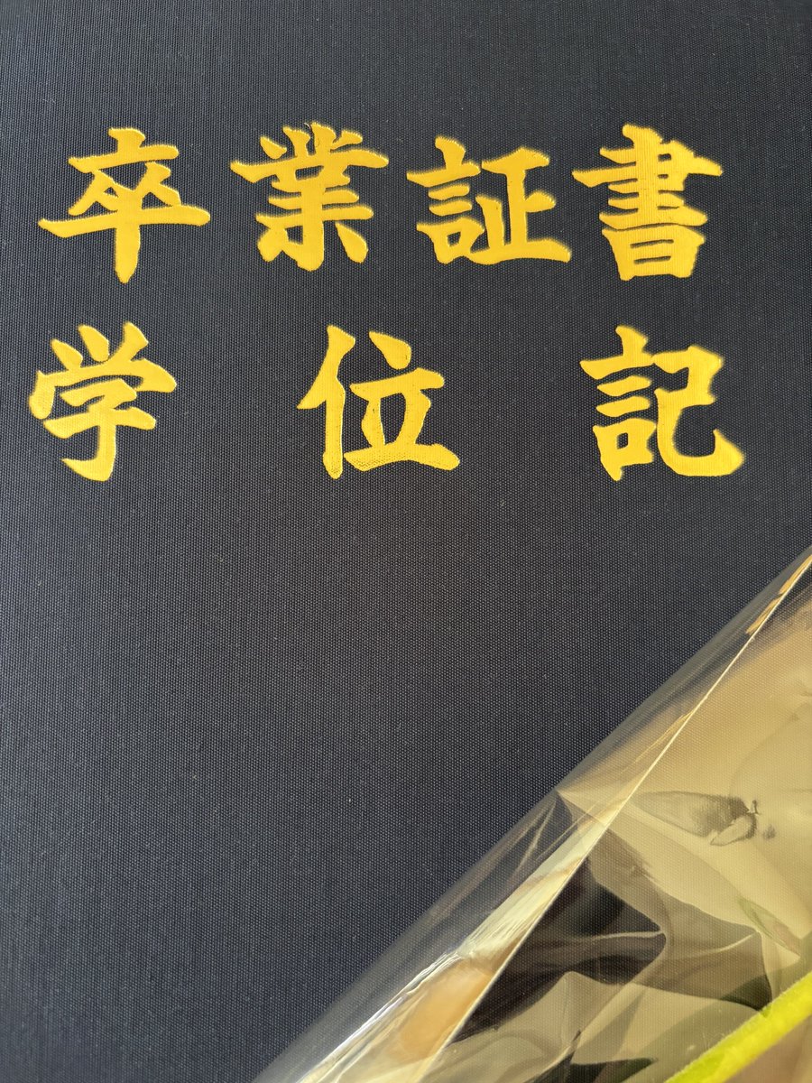 どつきんぐ tweet media