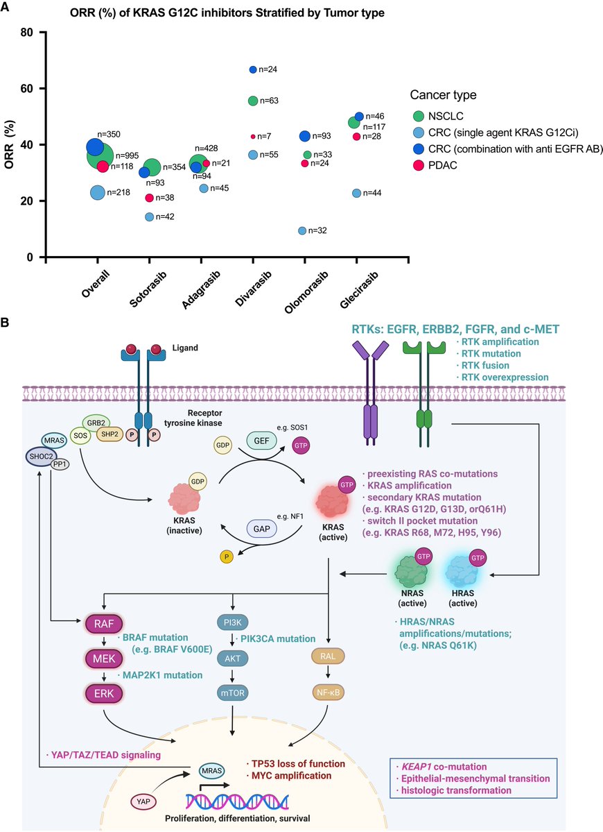 Daisuke Kotani, MD, Ph.D 小谷 大輔 tweet media
