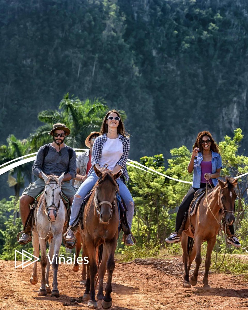 ☀️ Para disfrutar en familia:
1️⃣ La Habana: Sumérgete en su historia, cultura y vibrante vida. 2️⃣ Varadero: Playas paradisíacas, sol y diversión para todas las edades. 3️⃣ Viñales: Paisajes espectaculares, naturaleza exuberante y un ambiente tranquilo. 

#CubaUnica #CubaTravel