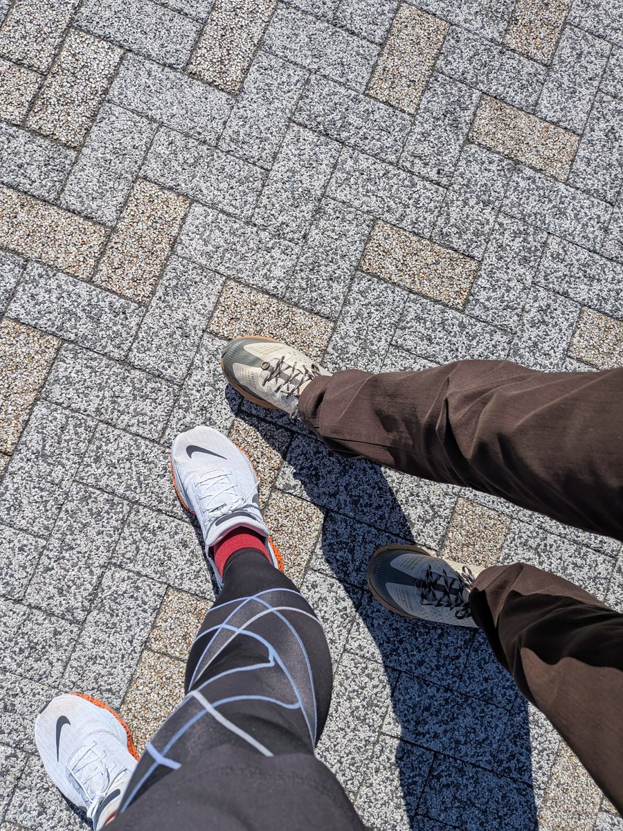 信号