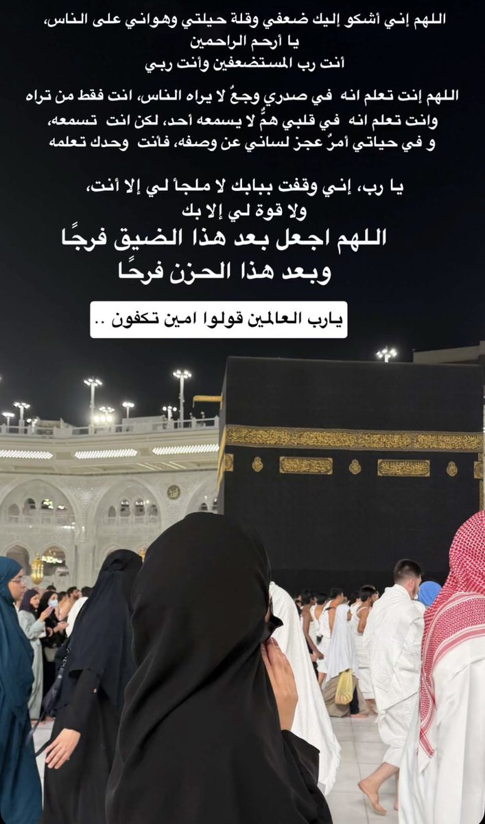 Areej tweet media