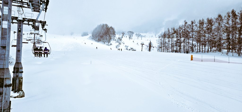 りぃれっくす tweet media