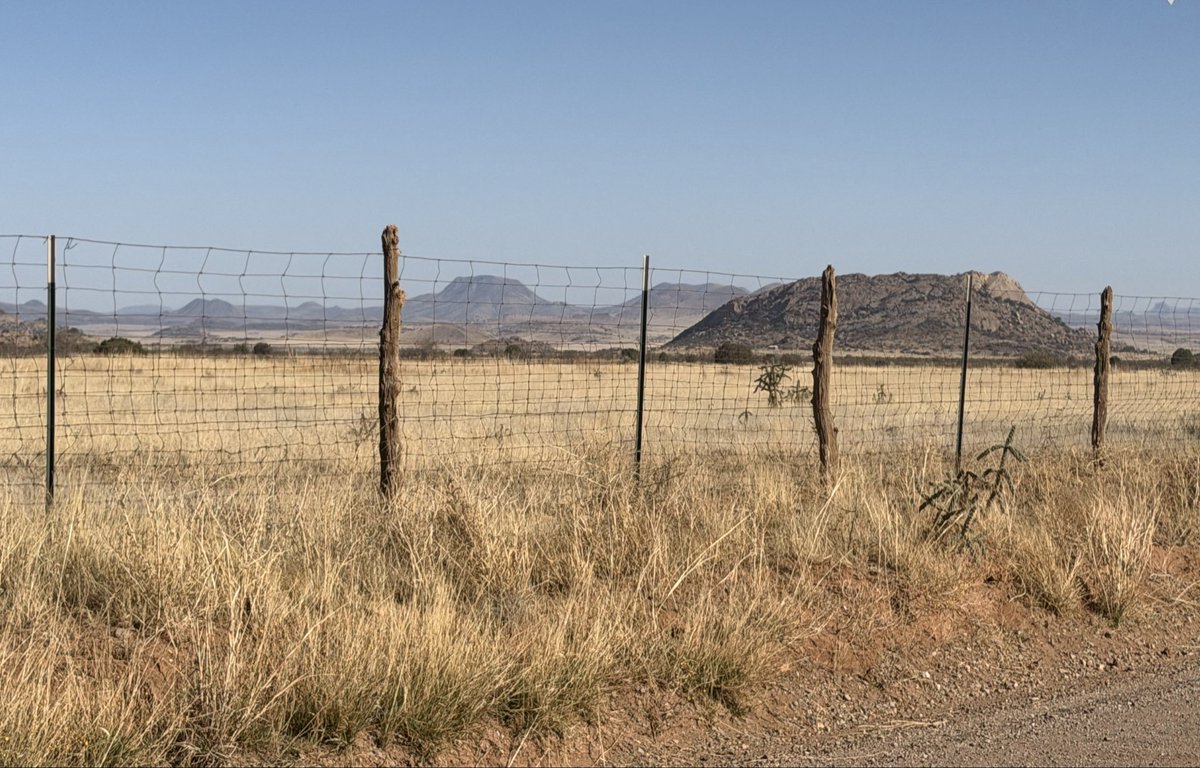 Matt Stringer tweet media