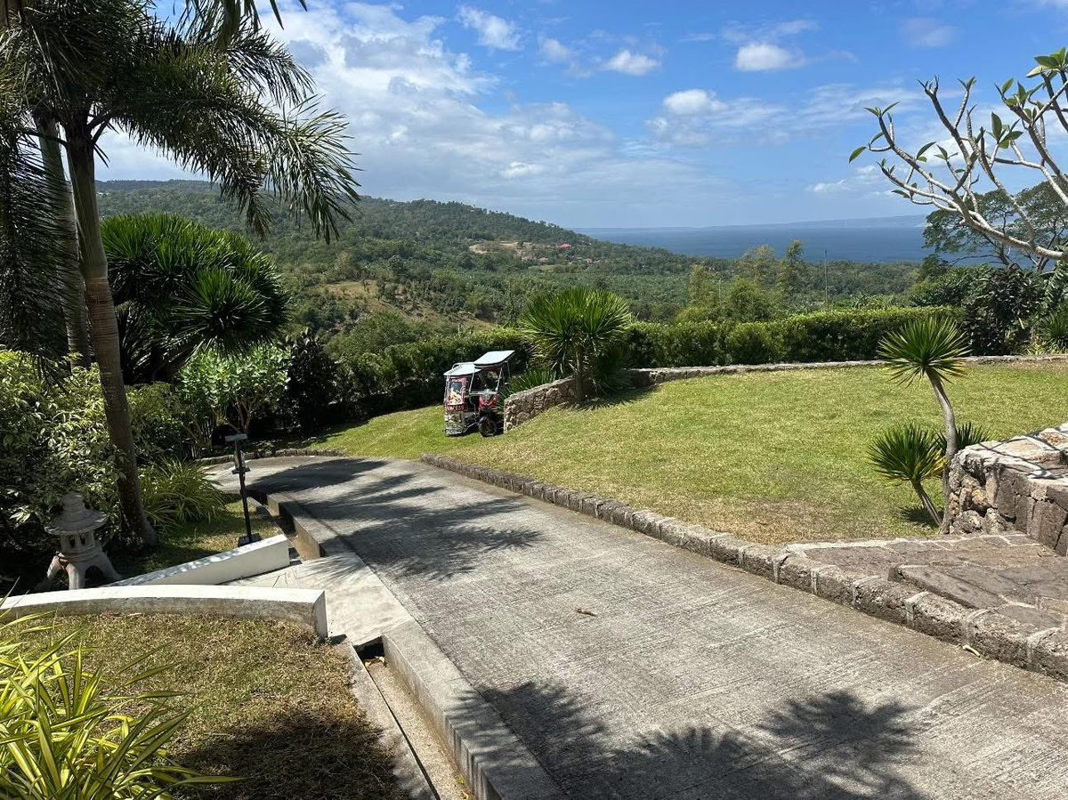 Tweetaaaa 💕✨ tweet media