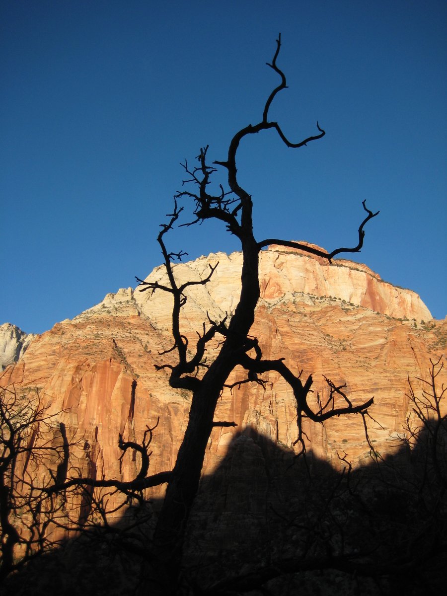 DigitalAddict tweet media