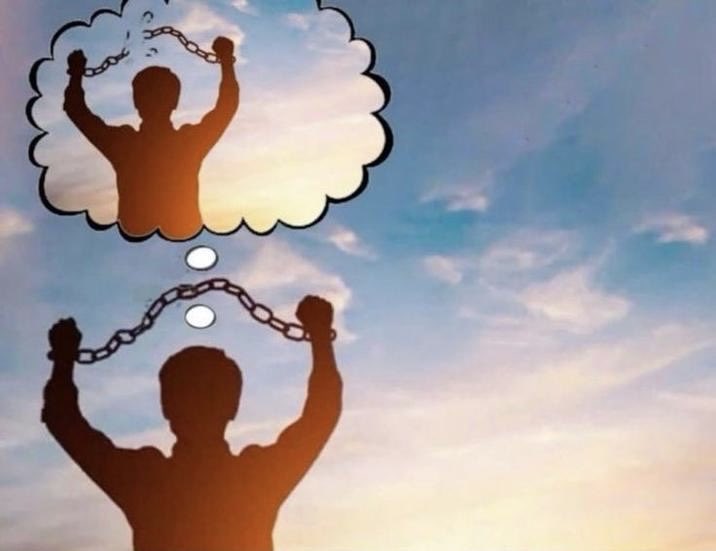 andy brophy tweet media