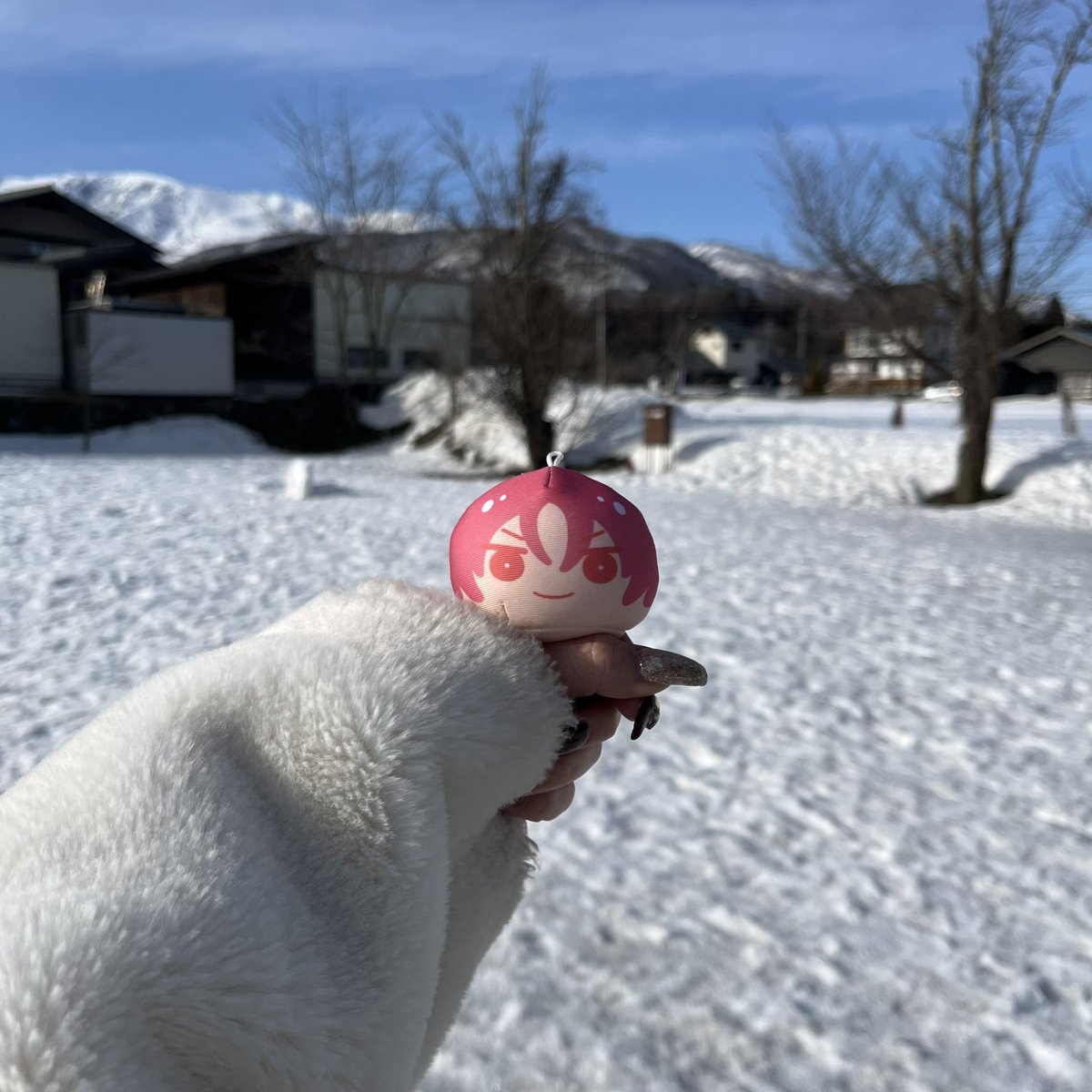 ひかり tweet media