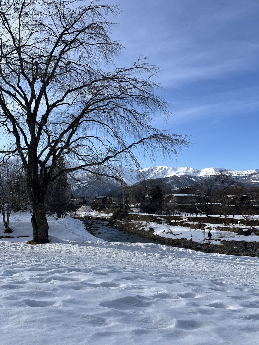 ひかり tweet media