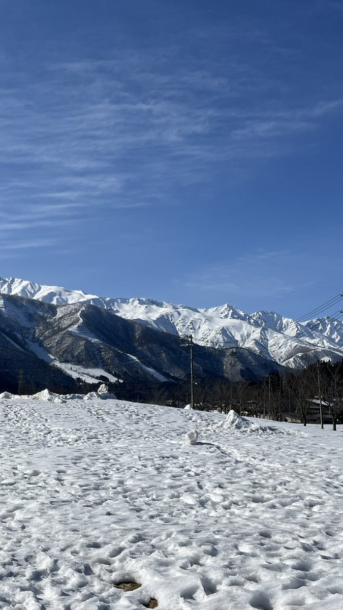 ひかり tweet media