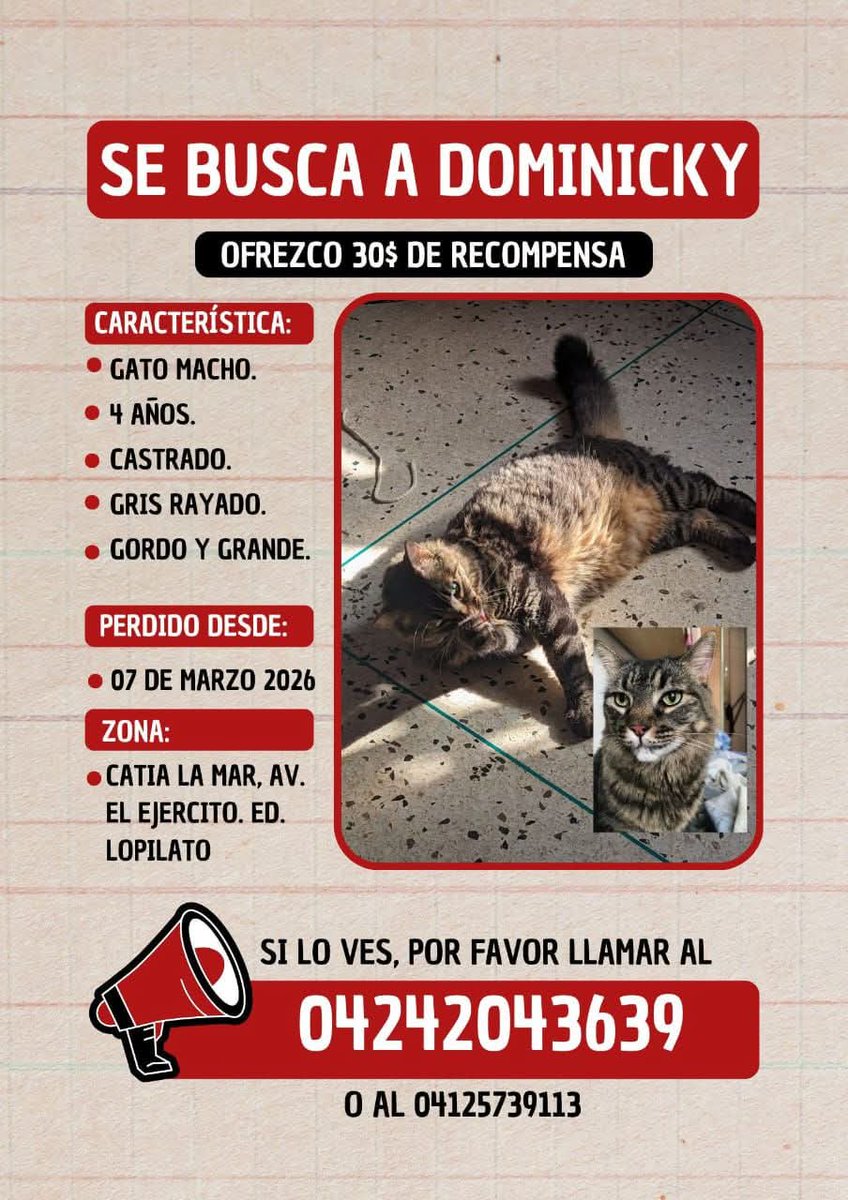 PerroUsuario's tweet photo. Se busca a Dominicky en Catia La Mar, La Guaira https://t.co/RusREYiVG0