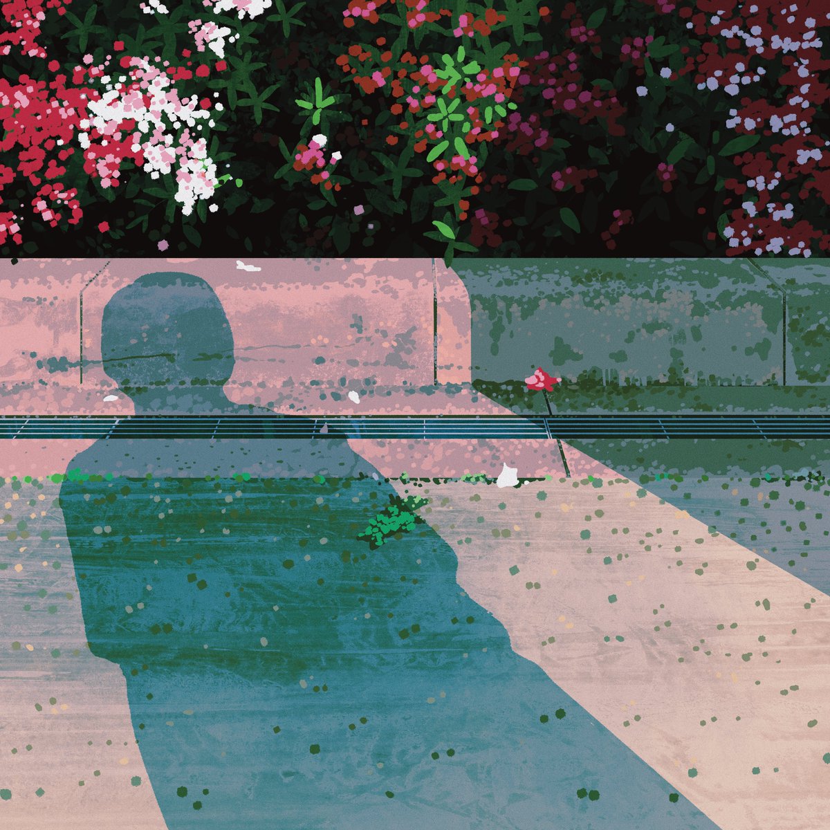 藤棚より tweet media