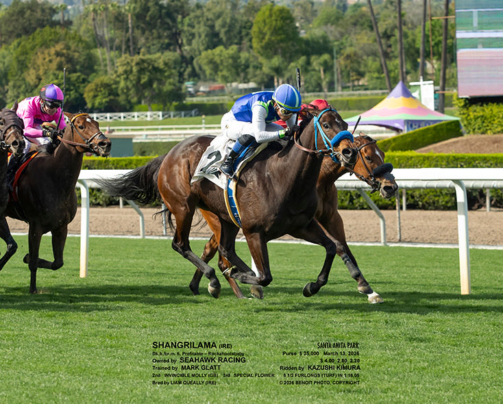 Brian Beach tweet media