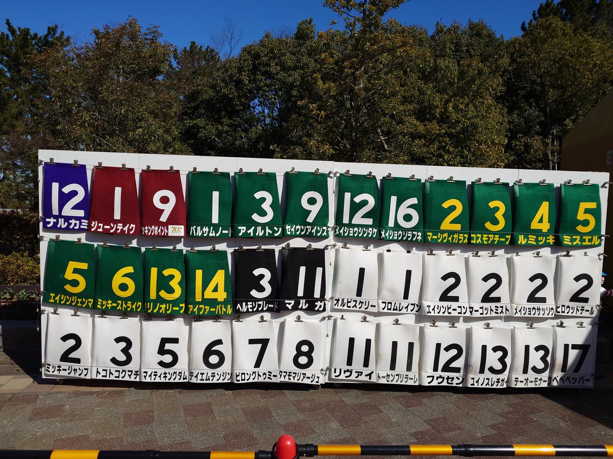 中京競馬場、今日の実使用ゼッケン抽選対象はこれだっ！