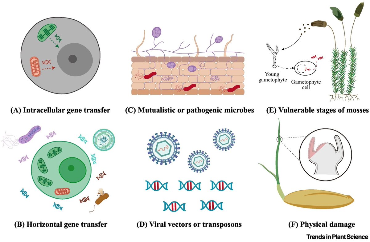 Plant Science tweet media