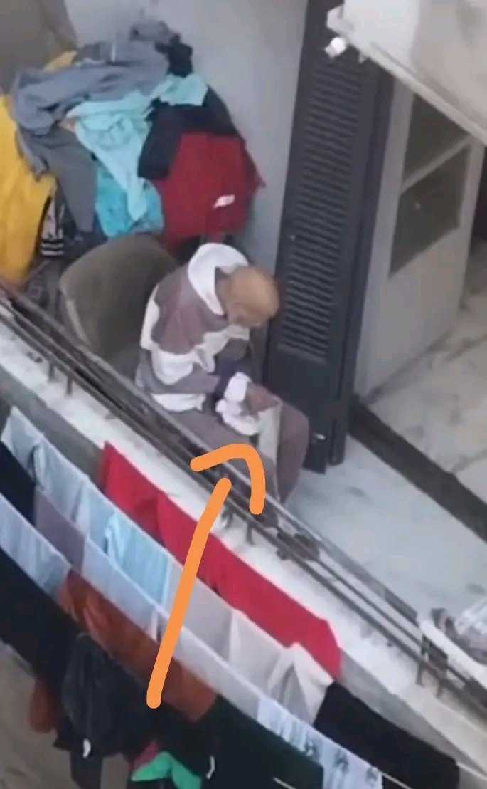 🦅🦅Noura Al-Hakim tweet media