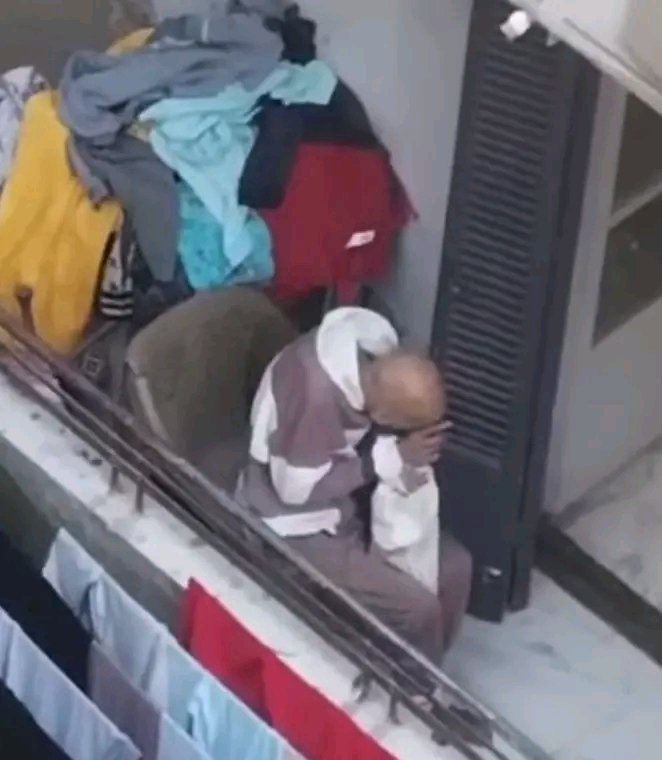 🦅🦅Noura Al-Hakim tweet media