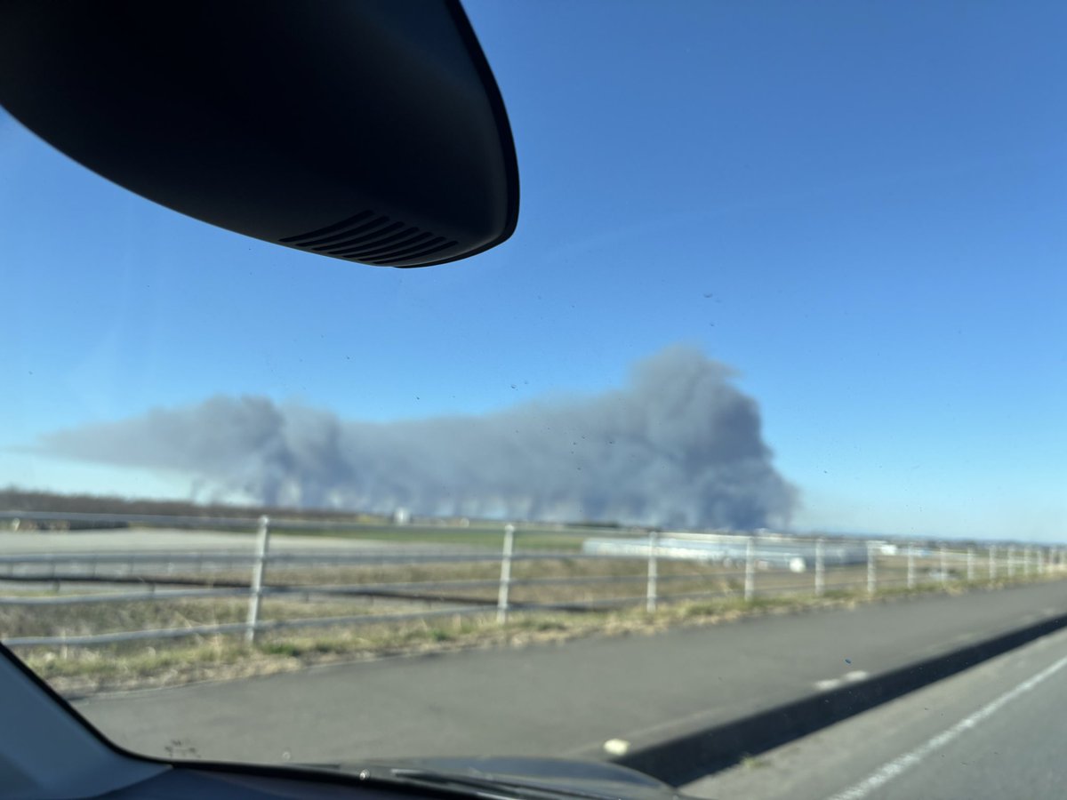 さいばー tweet media