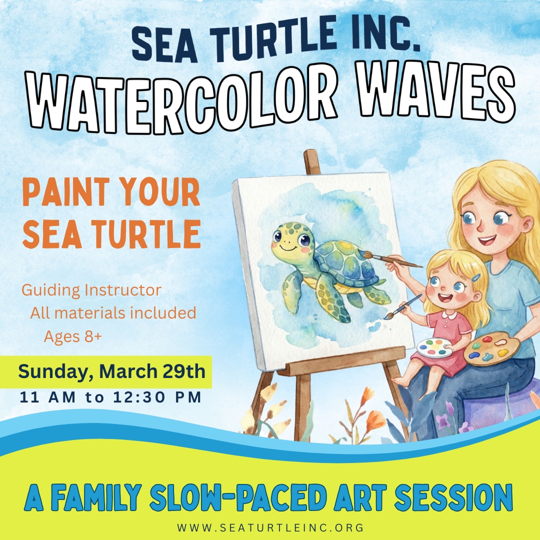 Sea Turtle, Inc. tweet media