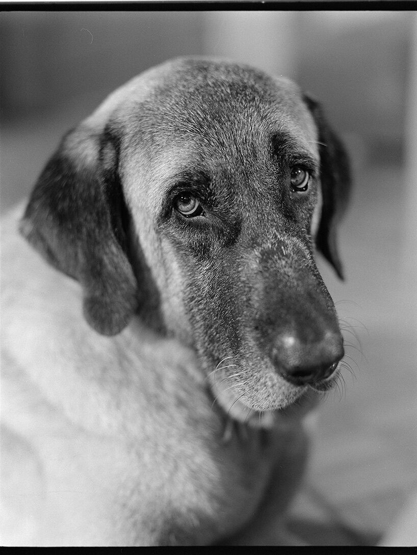 designboom's tweet image. 'you can be alone, with a camera in your hand, and you can walk… this is freedom.'

yorgos #lanthimos reflects on #photography beyond cinema as his show ‘yorgos lanthimos: photographs’ opens at @OnassisStegi in #athens 📷

read more here: designboom.com/art/freedom-yo…