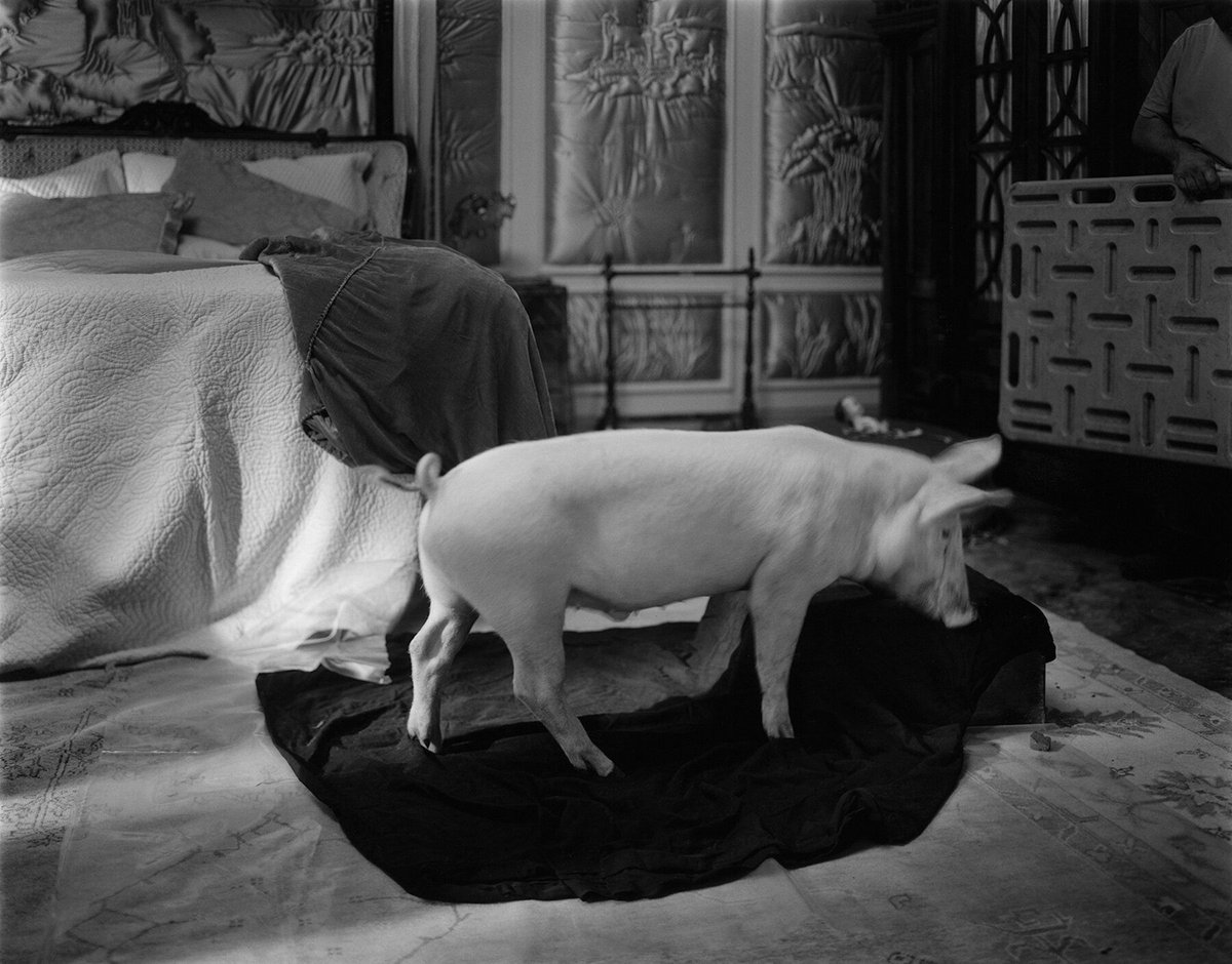 designboom's tweet image. 'you can be alone, with a camera in your hand, and you can walk… this is freedom.'

yorgos #lanthimos reflects on #photography beyond cinema as his show ‘yorgos lanthimos: photographs’ opens at @OnassisStegi in #athens 📷

read more here: designboom.com/art/freedom-yo…