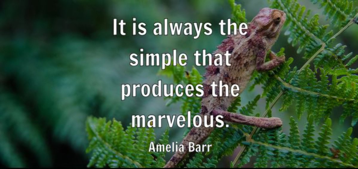 RaulWever's tweet image. “It is always the simple that produces the marvelous.”    
          –  Amelia Barr ✍️
#ThinkBIGSundayWithMarsha #Lavida #lovelife #BeHappy