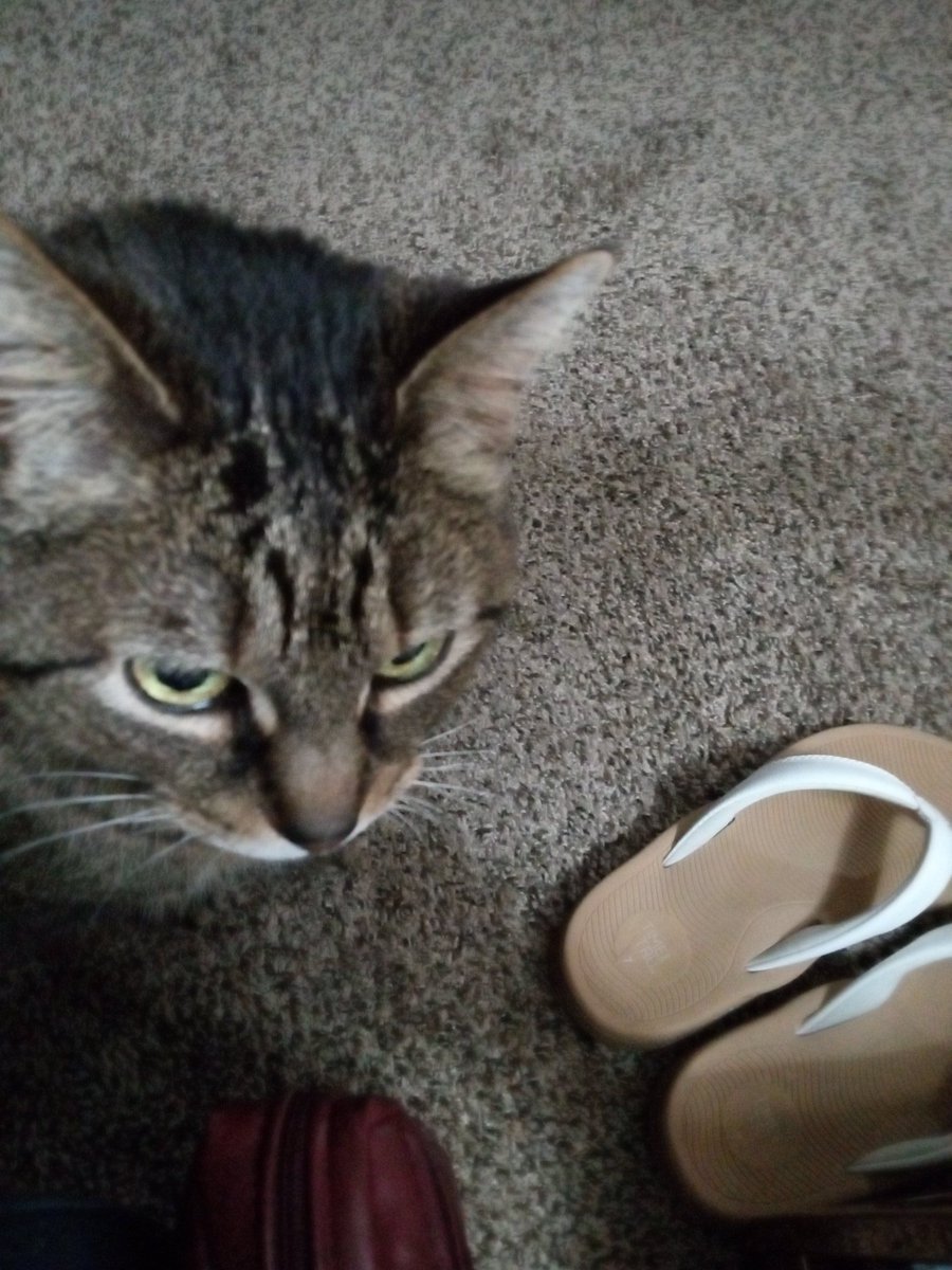 OTRB Calie and Grammy and Bella tweet media