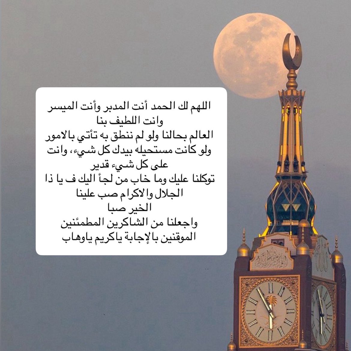 da_nn1's tweet photo. اللهم أذقنا لذة الإجابه بعد الإلحاح  وراحة اليقين بعد كل دعوة 🌱. https://t.co/jZONaHqORR