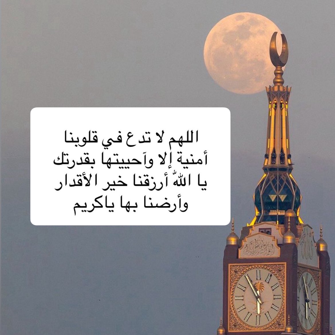 da_nn1's tweet photo. اللهم أذقنا لذة الإجابه بعد الإلحاح  وراحة اليقين بعد كل دعوة 🌱. https://t.co/jZONaHqORR