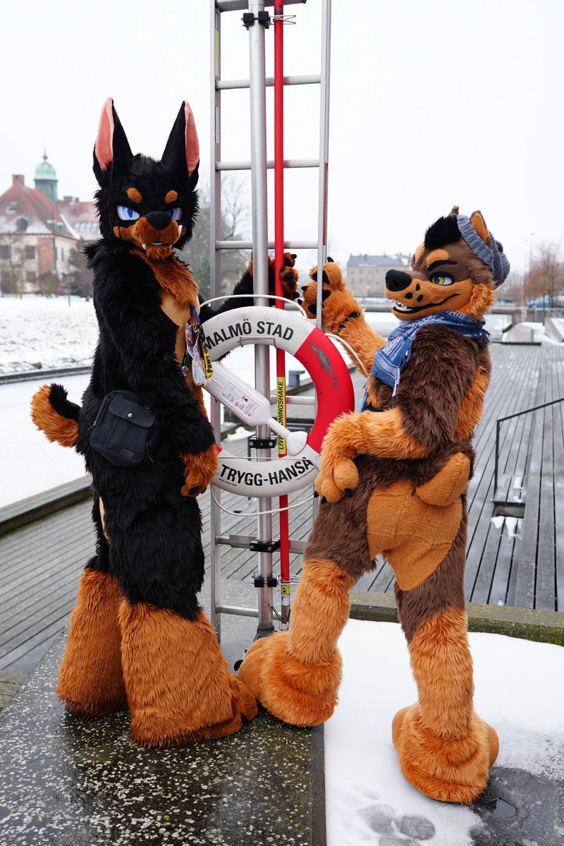 Sleepy K9 @ LOST IN THE USA ? tweet media