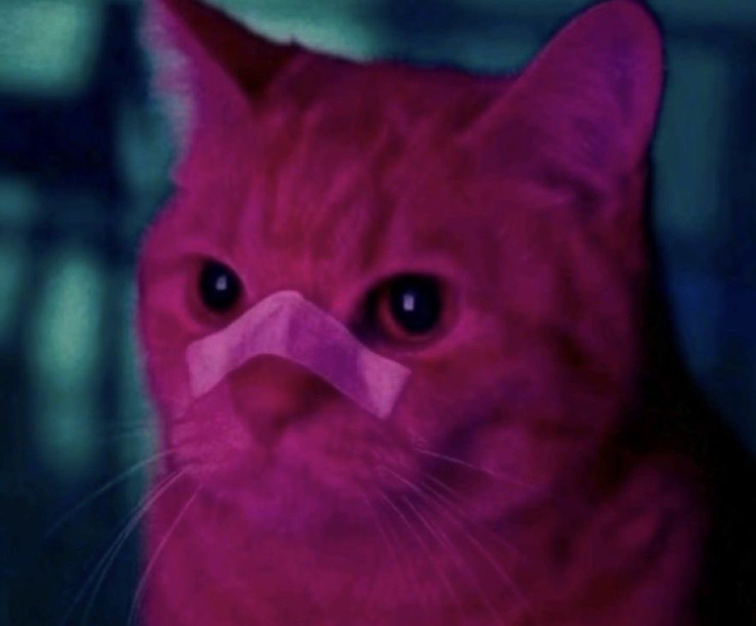 Unclestocknotes's tweet image. 喵！ #RCAT