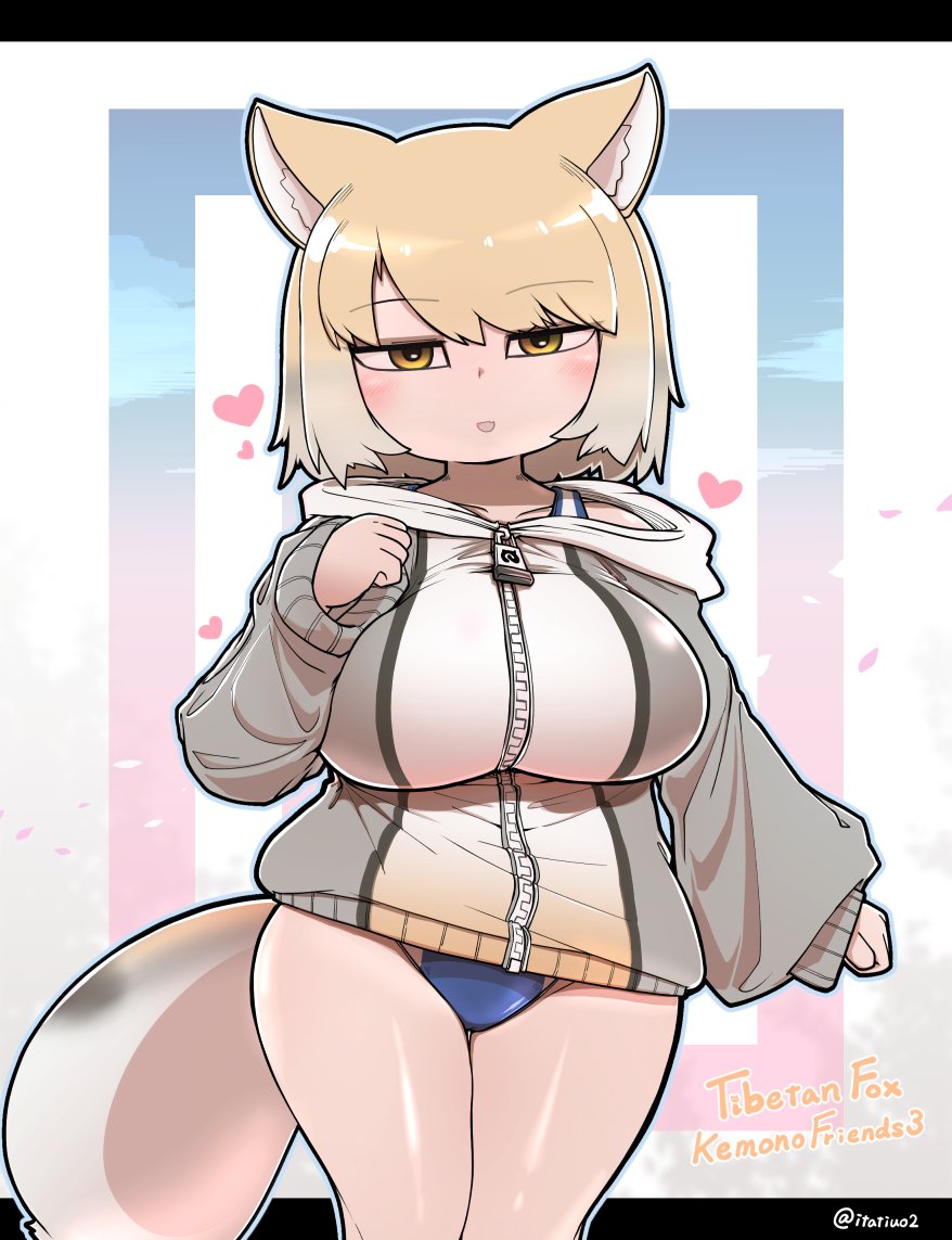 烏賊いたち tweet media