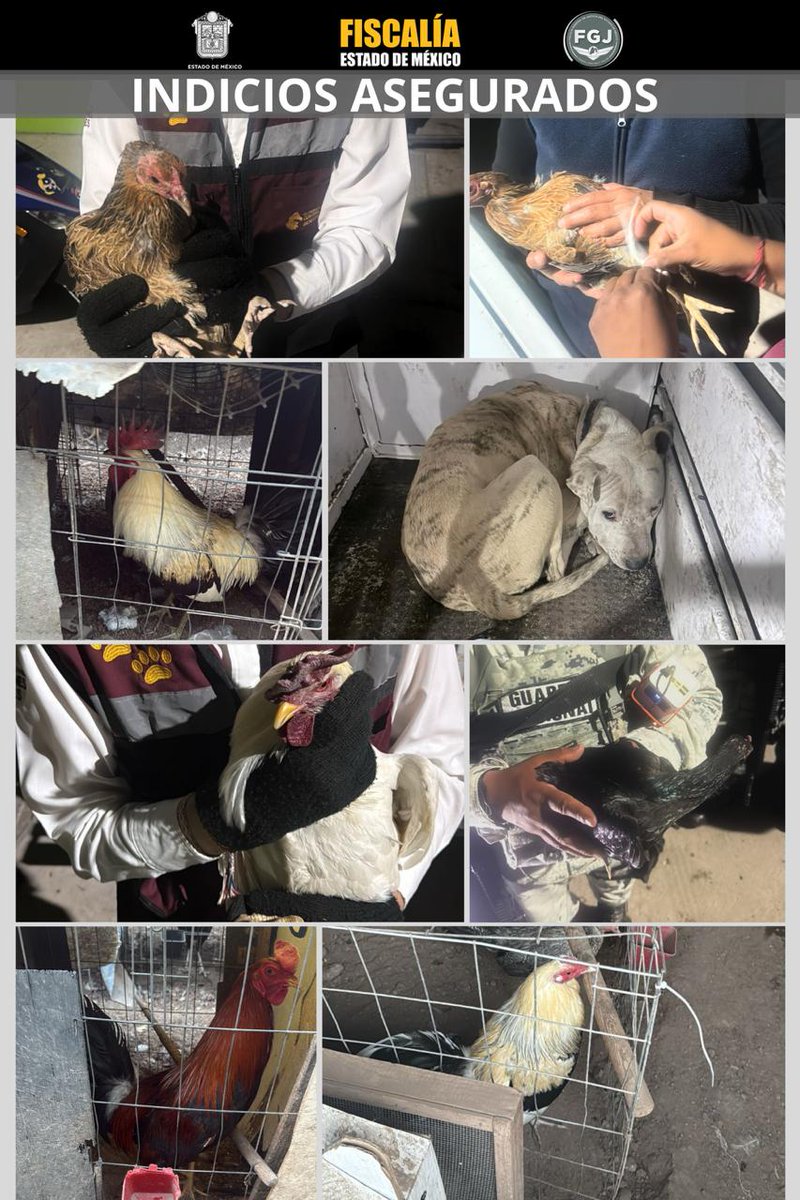 Luis Gabriel Velázquez tweet media