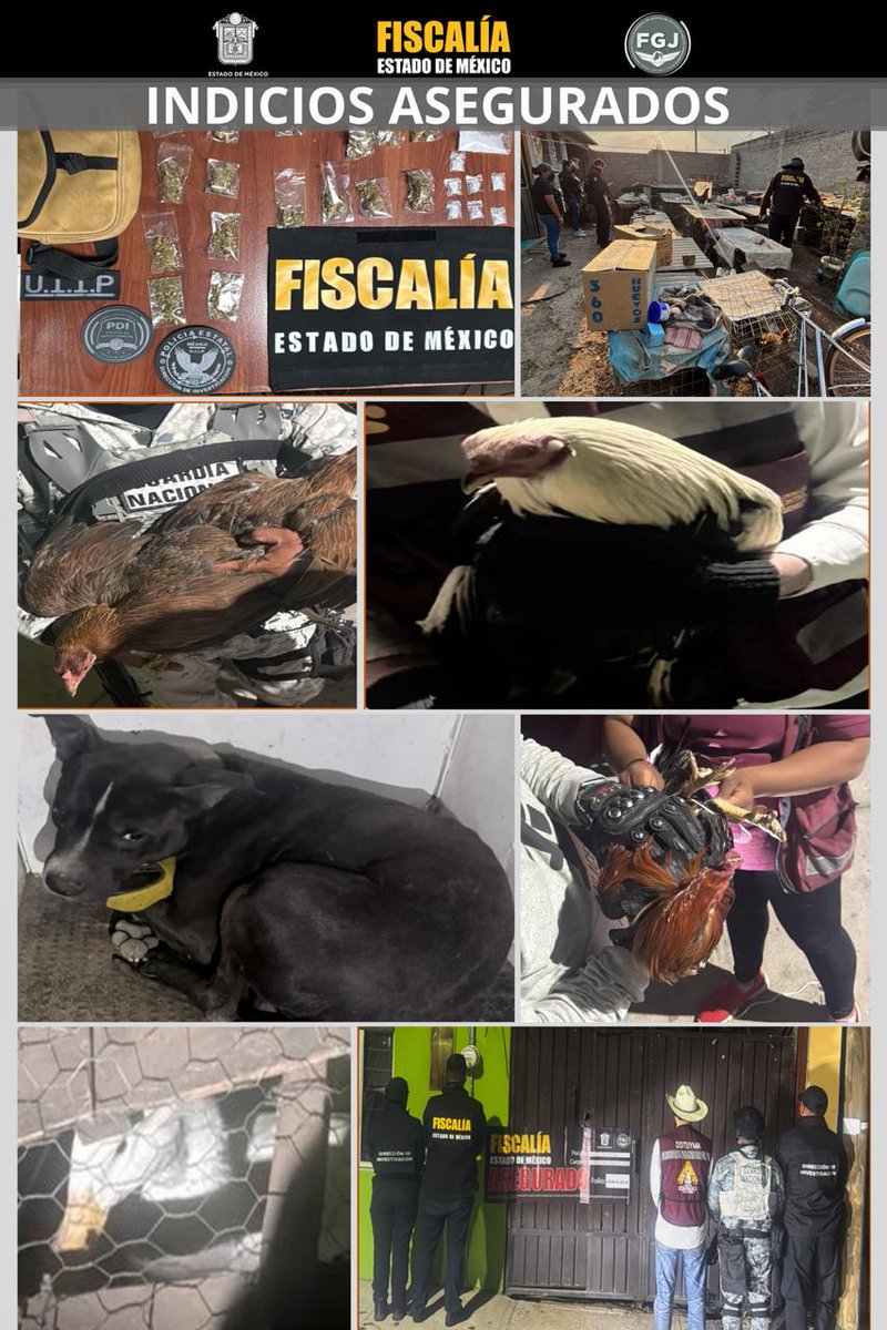 Luis Gabriel Velázquez tweet media