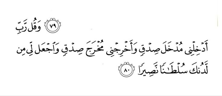 👩‍🦳🍃 tweet media