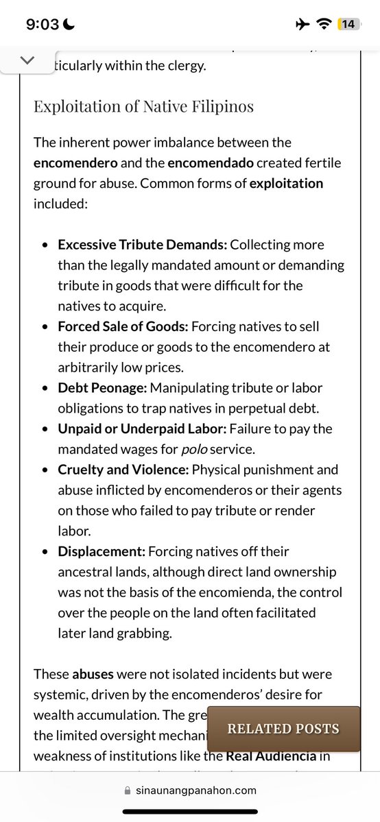 Rio Writes `· . 🪻𐙚 tweet media