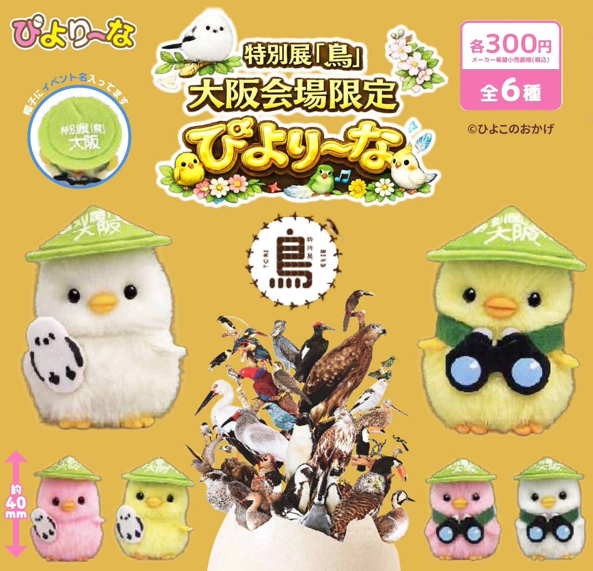 【チェック用】鳥展大阪会場限定ぴよりーな 鳥さんだらけの特別展「鳥」開催です🐦🍃 ここだけの会場限定ぴより