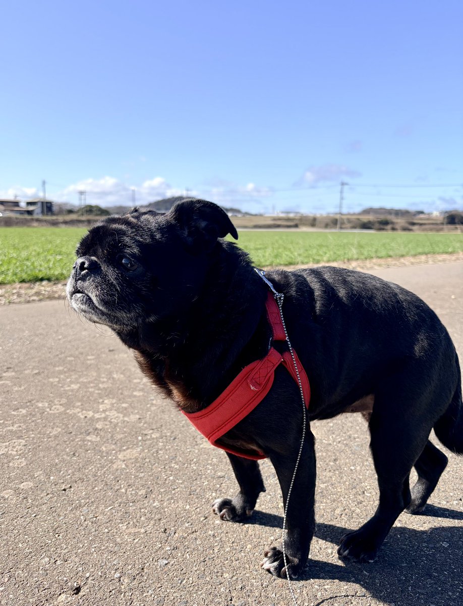 ツナ缶 tweet media