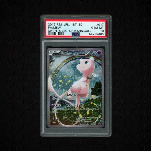 DachshundWizard 🧙‍♂️ tweet media