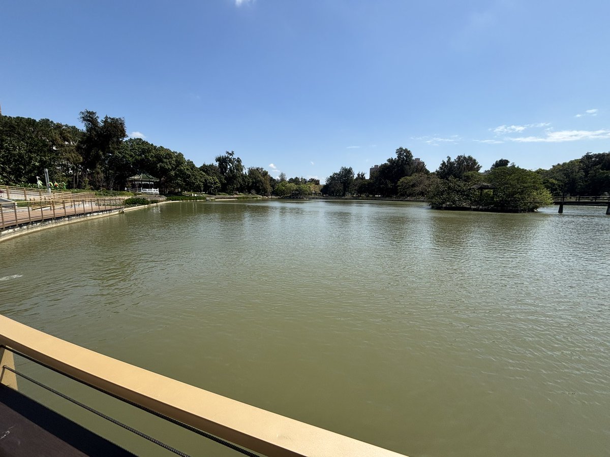 庵俺胺闇 tweet media