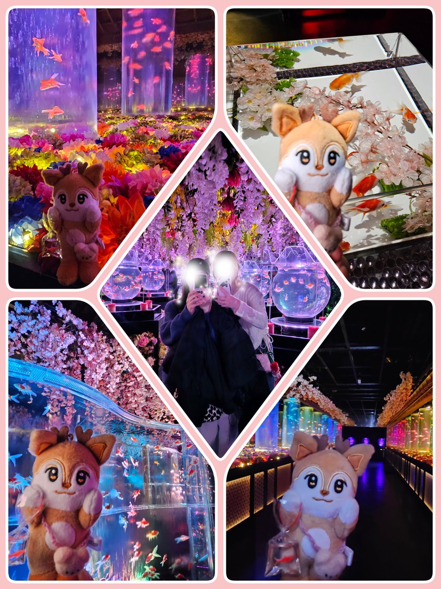 JIMIN_SUNMO_JIN's tweet photo. 昨日のランチ(前📮)後…
セイディ🦌アートアクアリウムに行く…の巻
ε( ε•o•)э🫧
桜がテーマで綺麗だったょ🌸🐟
からの、娘推しtreasureハルト&私推しINIメンバー理人が一緒に行ったカフェへ✨
寒かったからHOTがあっちゅー間にICEになってしもうた☕😅
#アートアクアリウム
#FUGLEN https://t.co/4WBBzsn53C